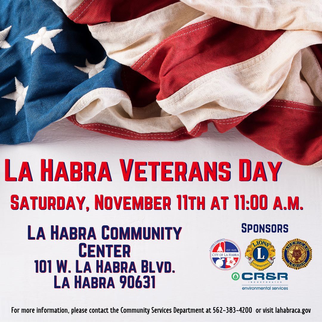 Veterans Day event flyer